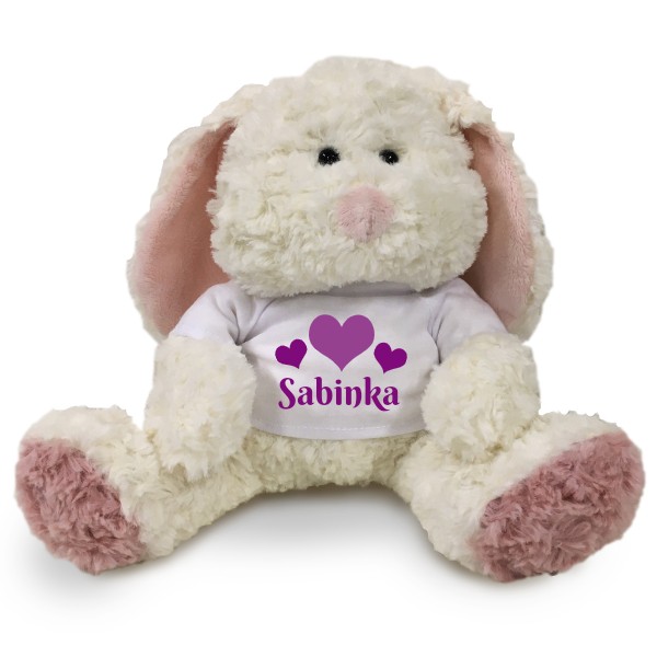 Medvídek Teddy s potiskem Jméno